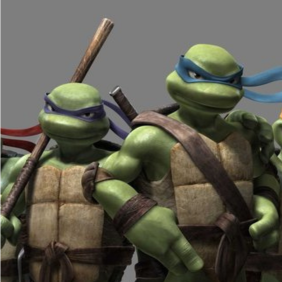 Teenage Mutant Ninja Turtle - TMNT